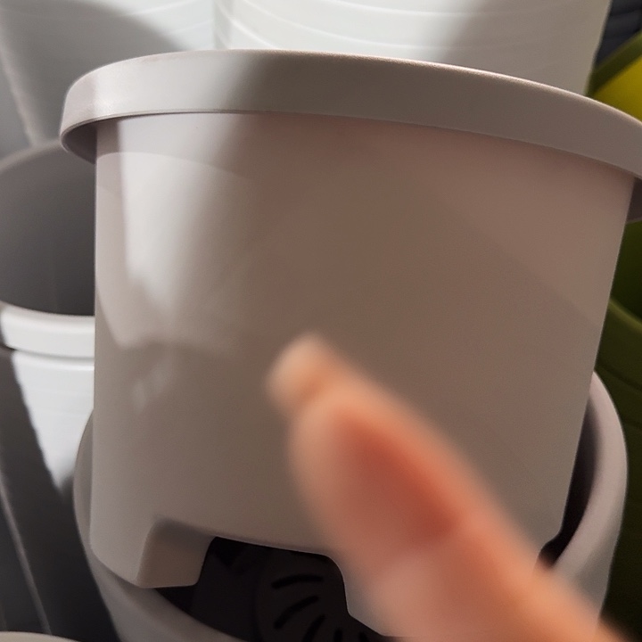 球根盆3号灰白无托6个