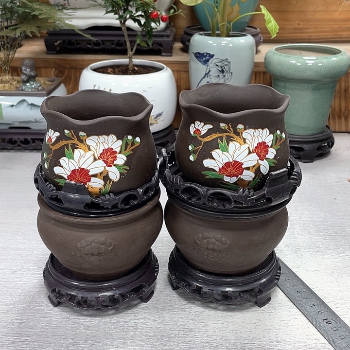 陶瓷花盆抢购福利活动