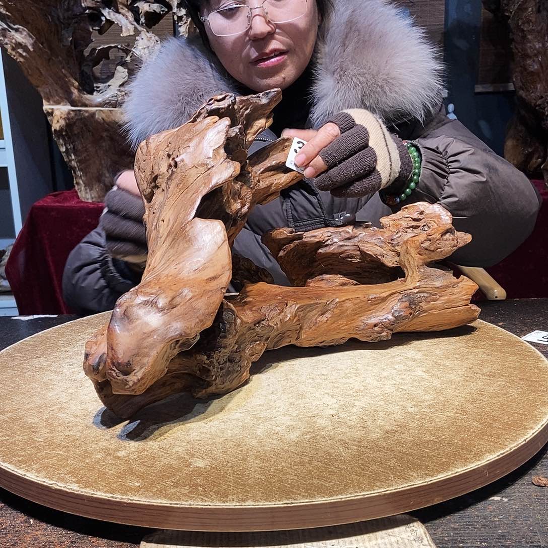 郑***荣335。株木随行根艺