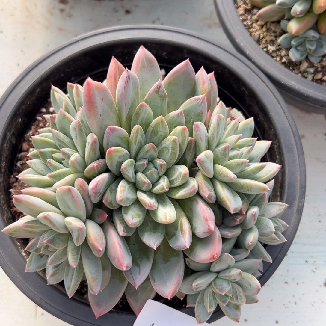 弑**熙4213肉肉肉肉肉肉肉肉