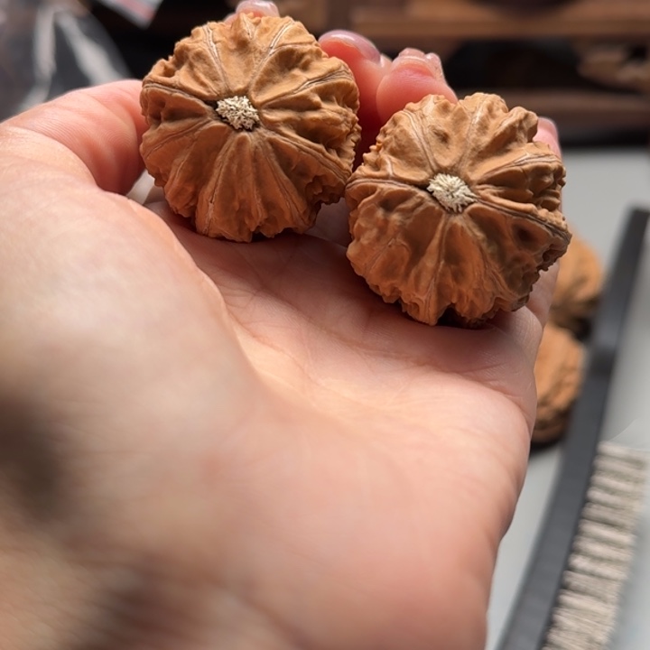 文玩核桃把件关东木子楸百核128