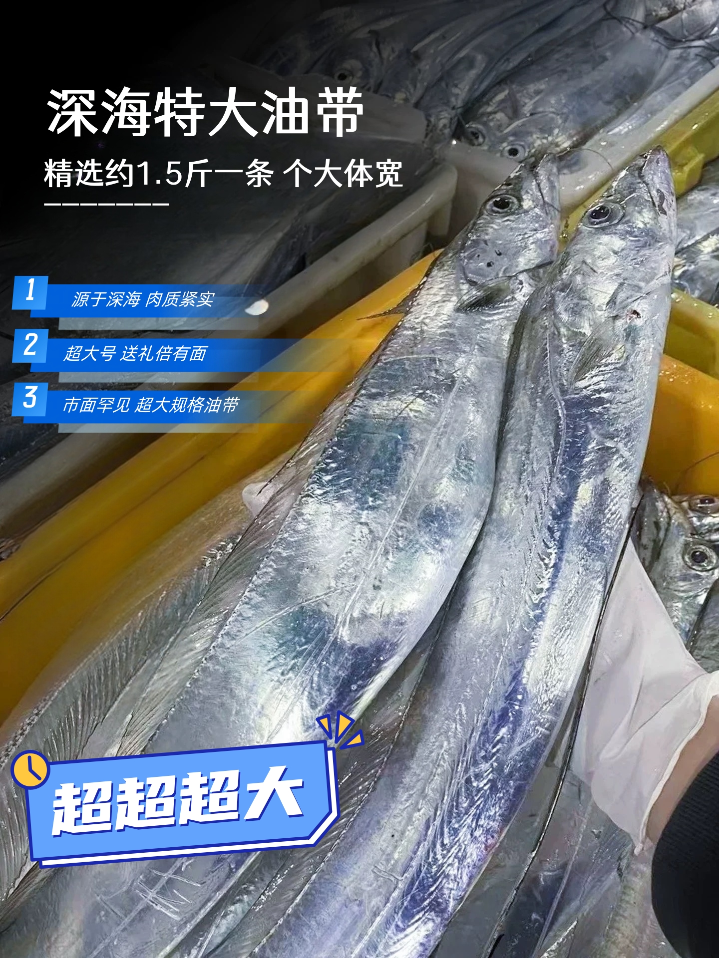 深海捕捞超大油带 单条1.5斤到手四条 约6—6.5斤28xx