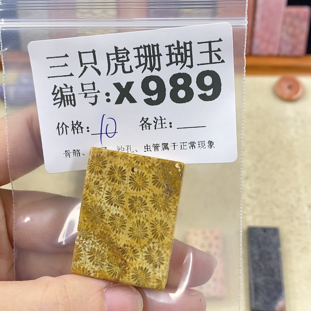 硅化珊瑚（珊瑚玉）1未镶嵌k***n