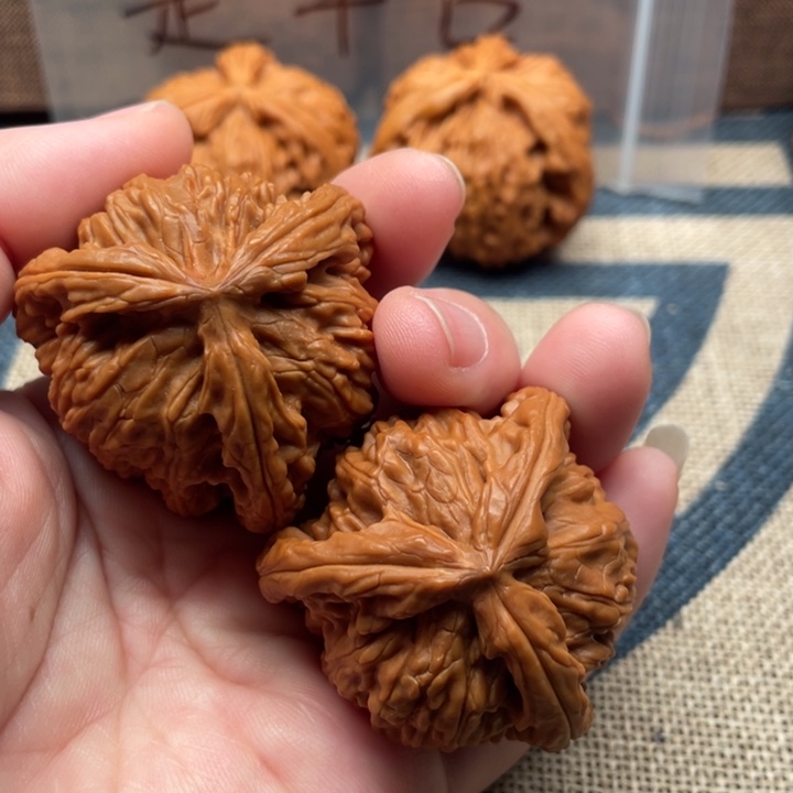 示***熱核桃白狮子41核桃