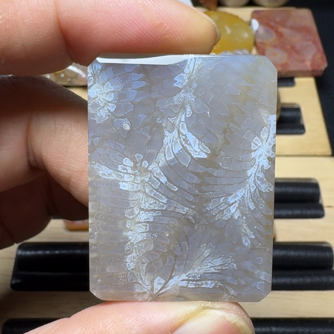 硅化珊瑚（珊瑚玉）纯天然色有机玉石未镶嵌