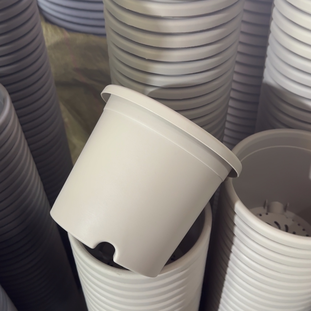 树脂特价2#无拖灰白13个