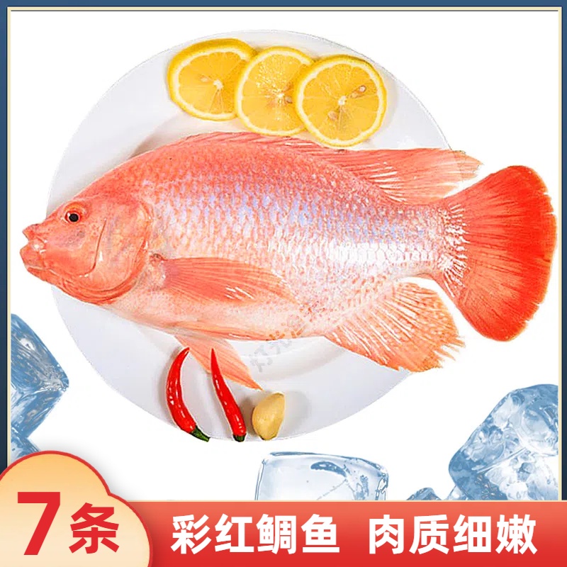 7条彩红鲷鱼共6斤杀后约4.8斤(代杀去肚) 送2包豆豉  速冻