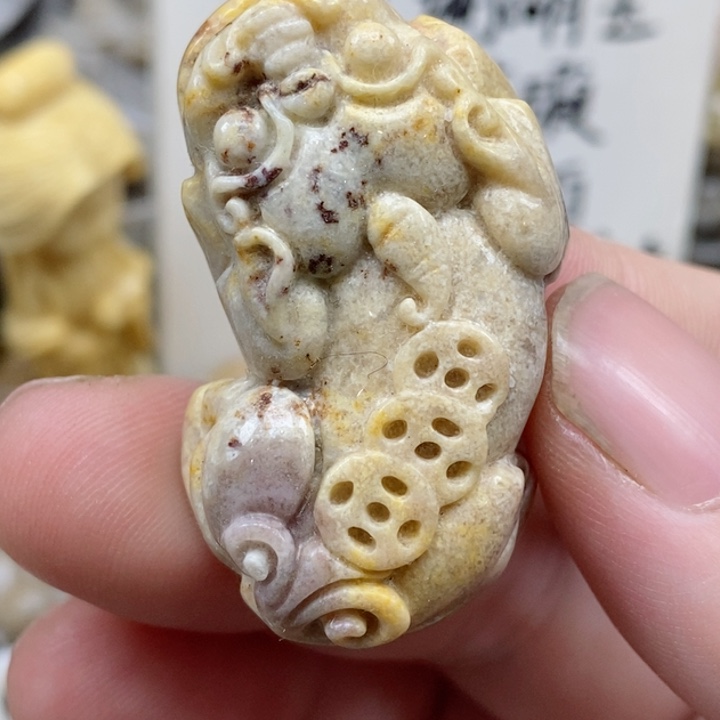 颈饰未镶嵌硅化珊瑚（珊瑚玉）