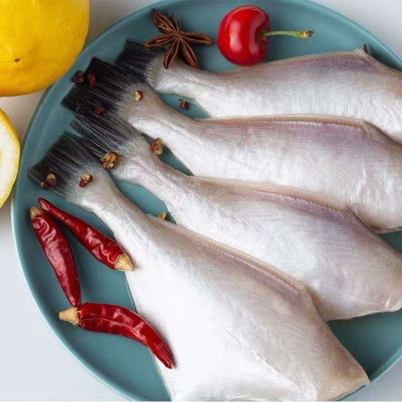 去头去内脏耗儿鱼马面鱼橡皮鱼剥皮鱼无冰衣耗儿鱼连云港发货顺丰