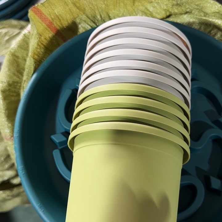 四季2号果绿带托10套