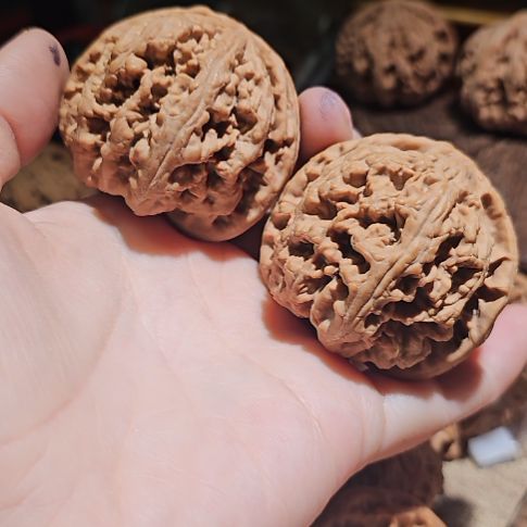 文玩核桃吊坠48粗筋