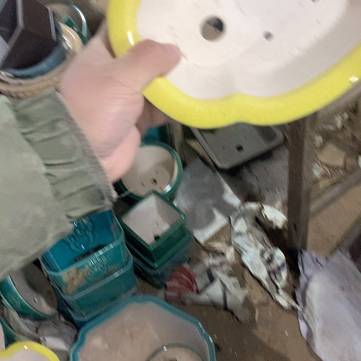 紫砂我要不就是你一定