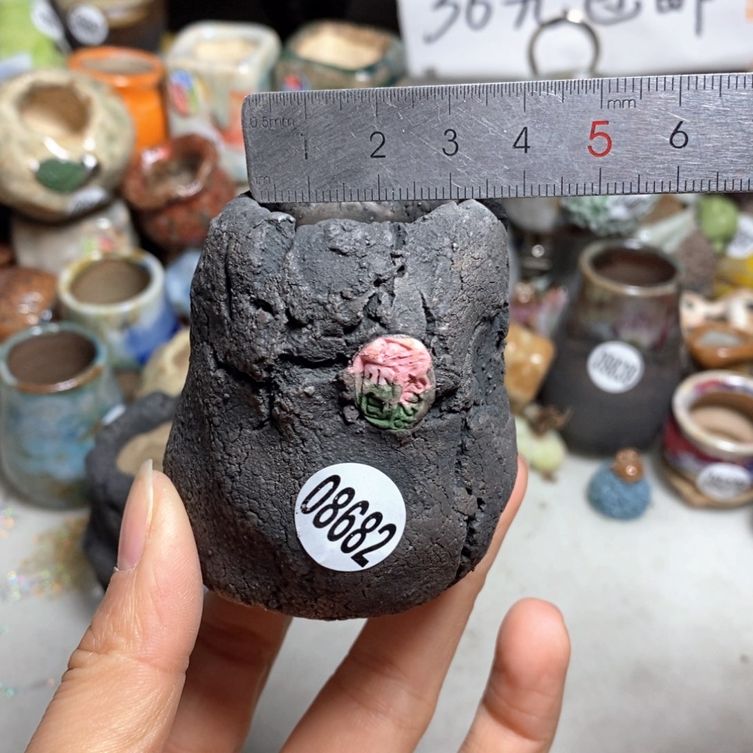 花盆拍3送一个小礼物