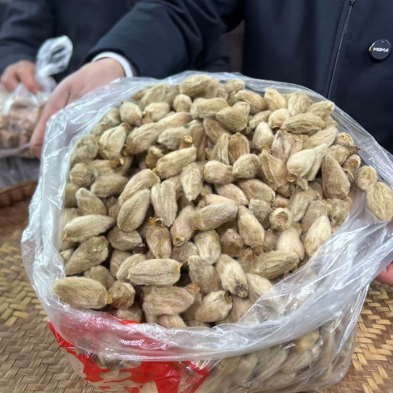 神农架老乡干迎春花苞