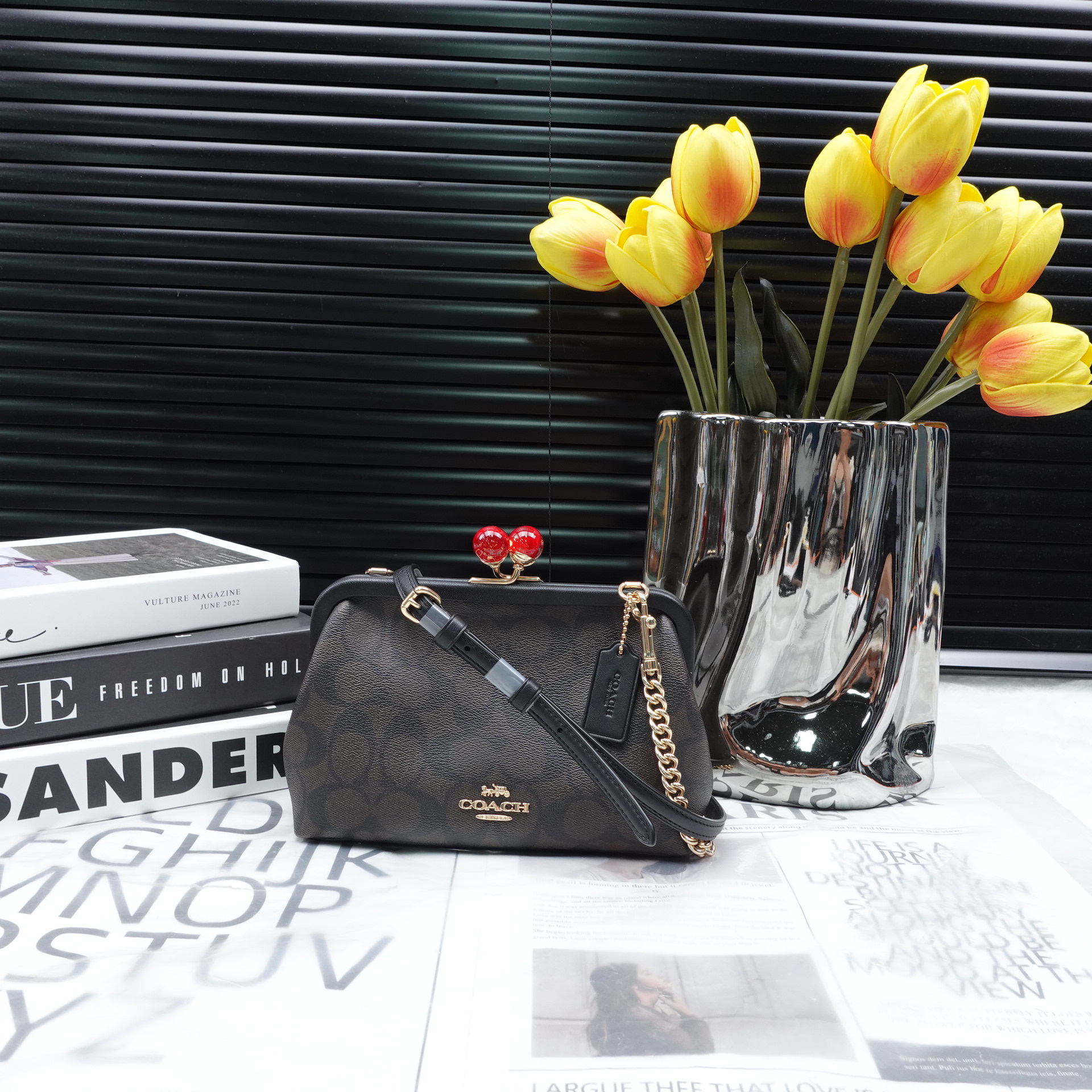 95新 COACH/蔻驰 单肩包/T10242113