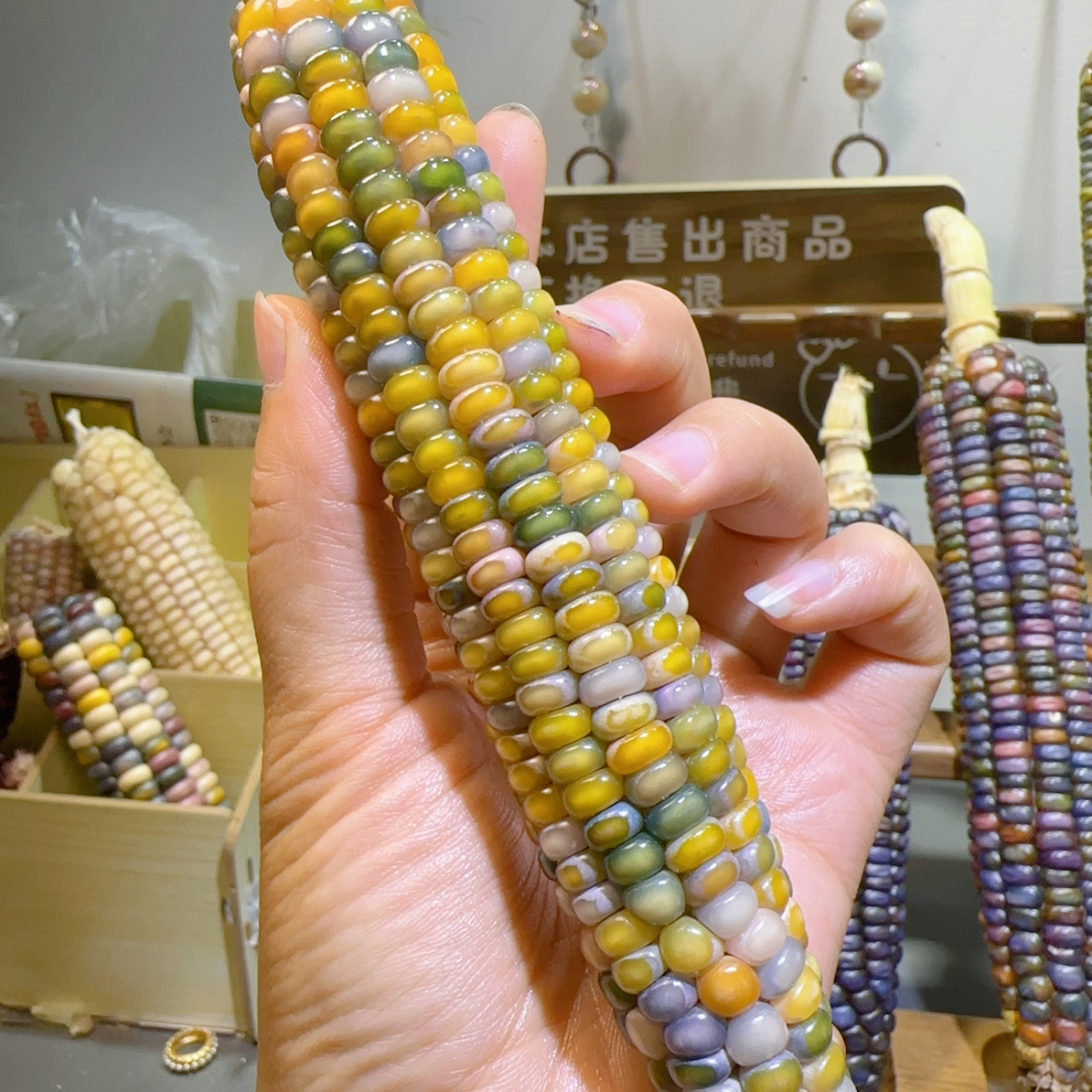 玉米摆件玉米手把件一物一拍