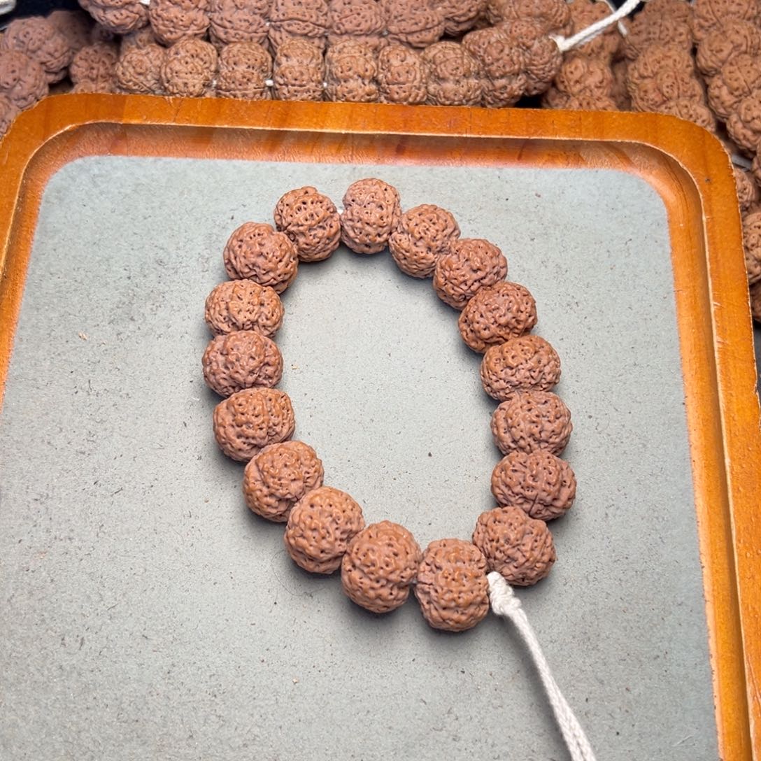 菩提11号金刚菩提蜂王20