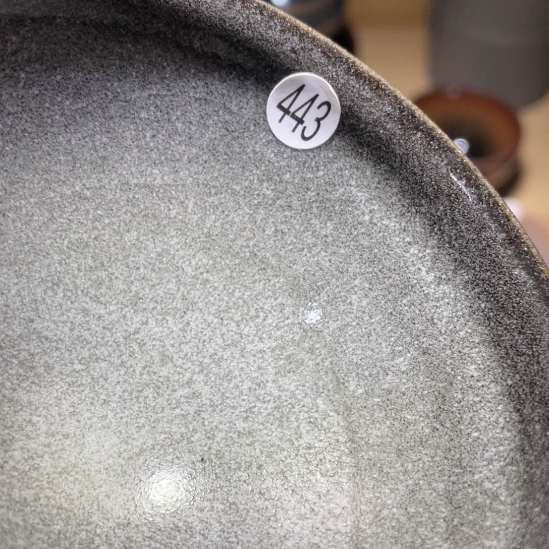 茶盏666666666666666666