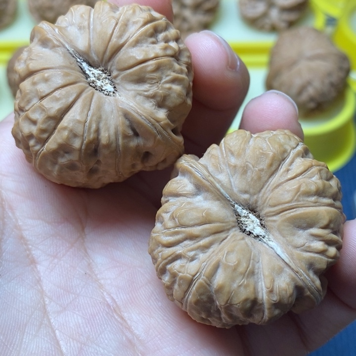 文玩核桃南瓜墩41