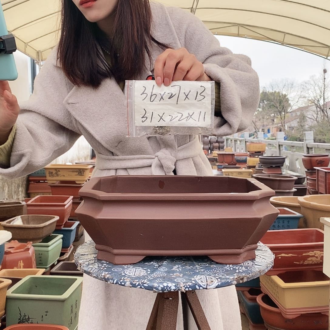 紫砂花盆紫砂花盆