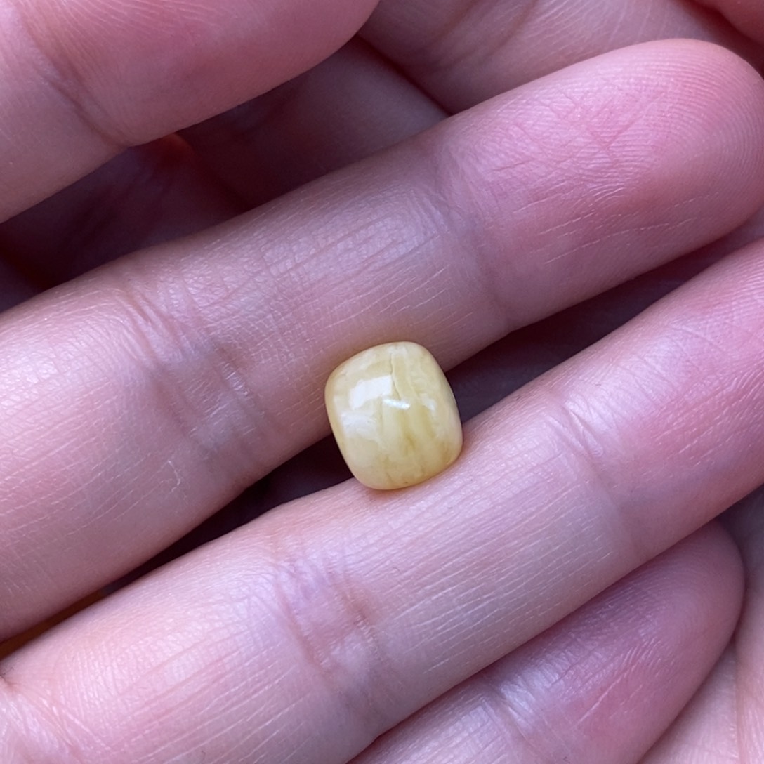 裸石琥珀未镶嵌辞*蜜蜡