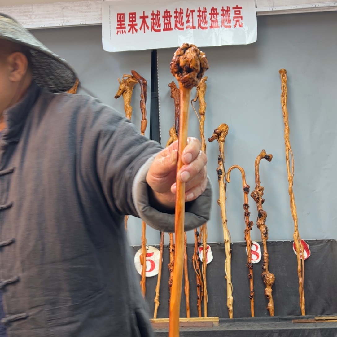 黑果木其他黑果木017