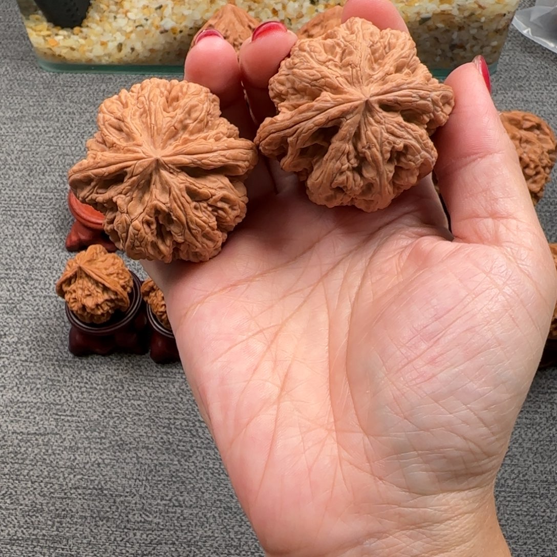 文玩核桃把件核桃