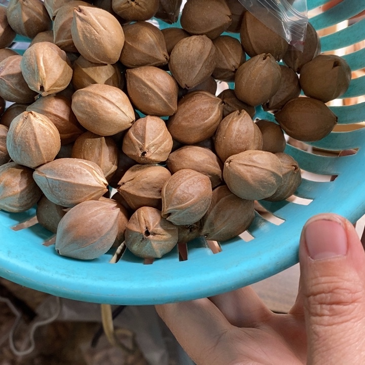 吊坠橄榄核如**生這是一起