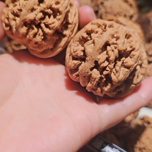 吊坠文玩核桃49粗筋