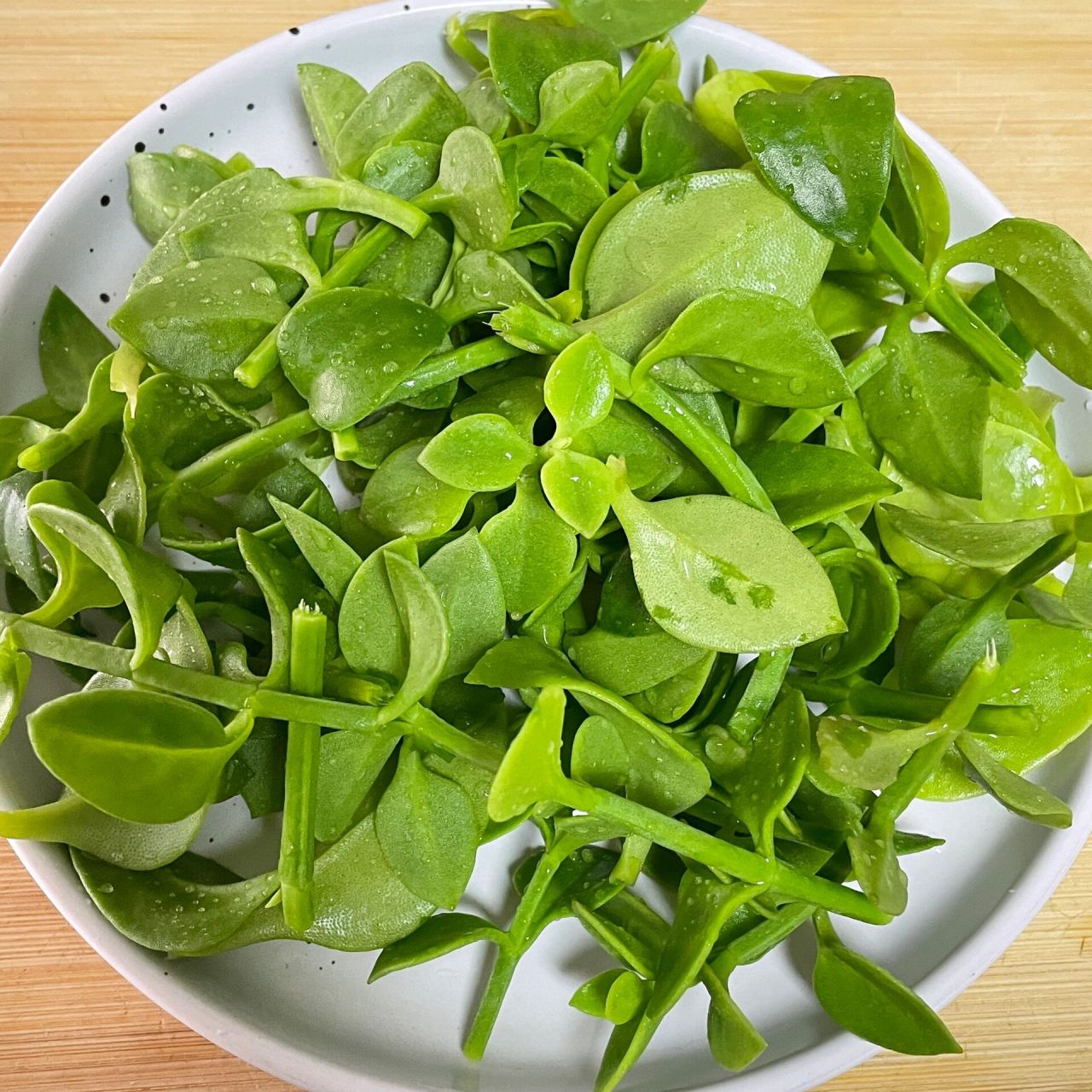 高端穿心莲150g左右/份