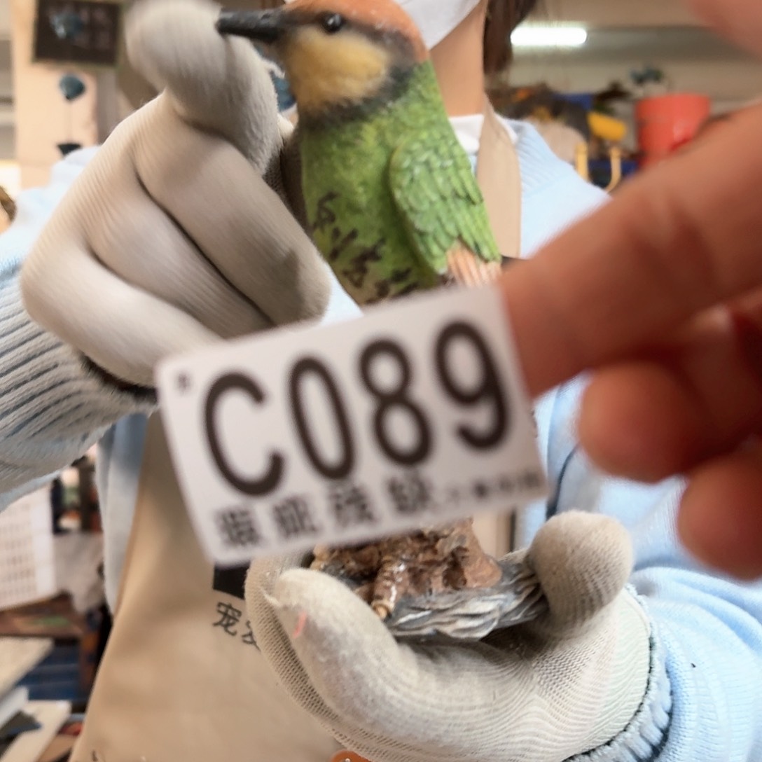 核桃木/黑胡桃（胡桃木）