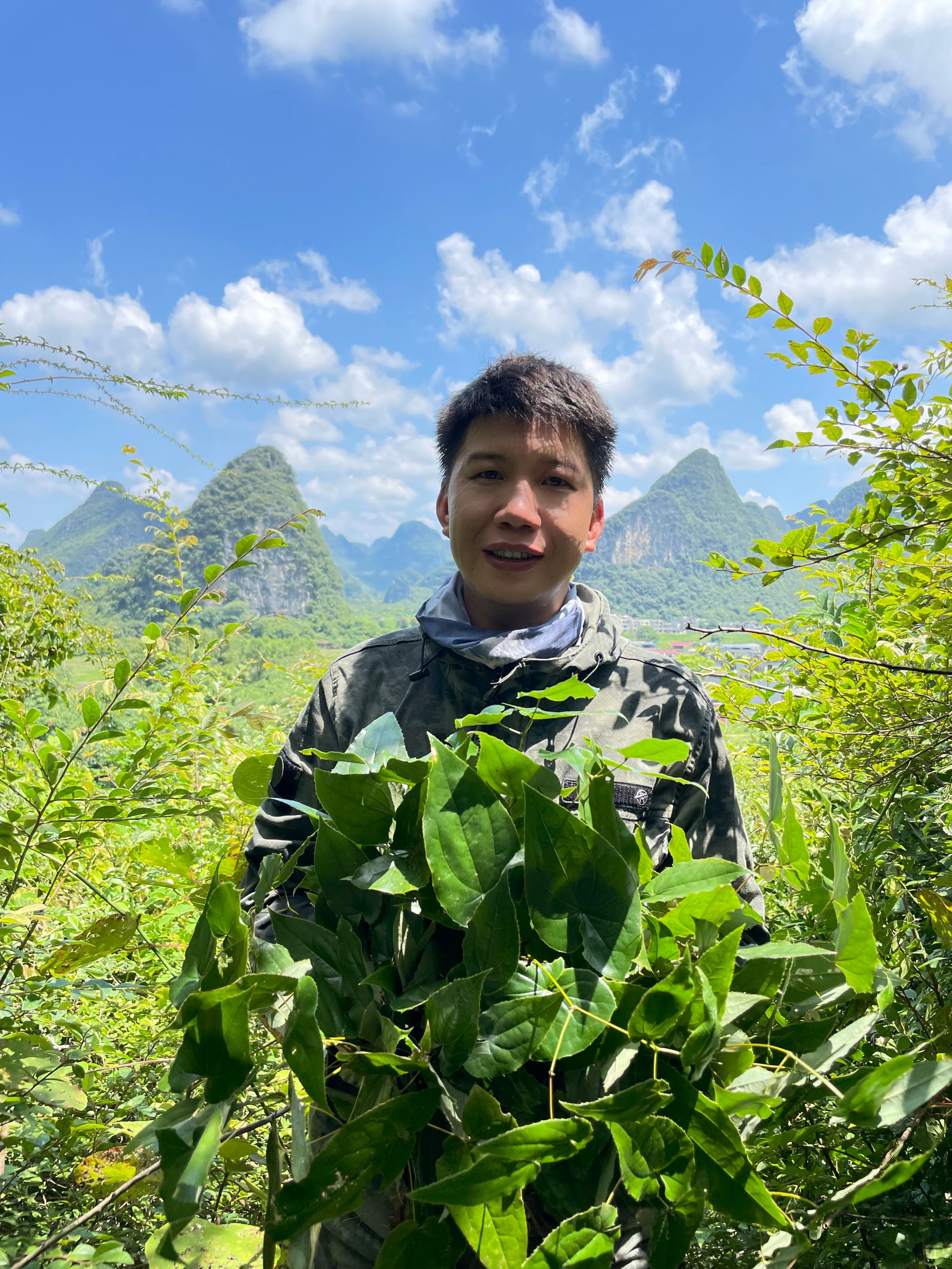 【活力小丸子】深山手工采摘 淫羊石草 干货香味浓郁