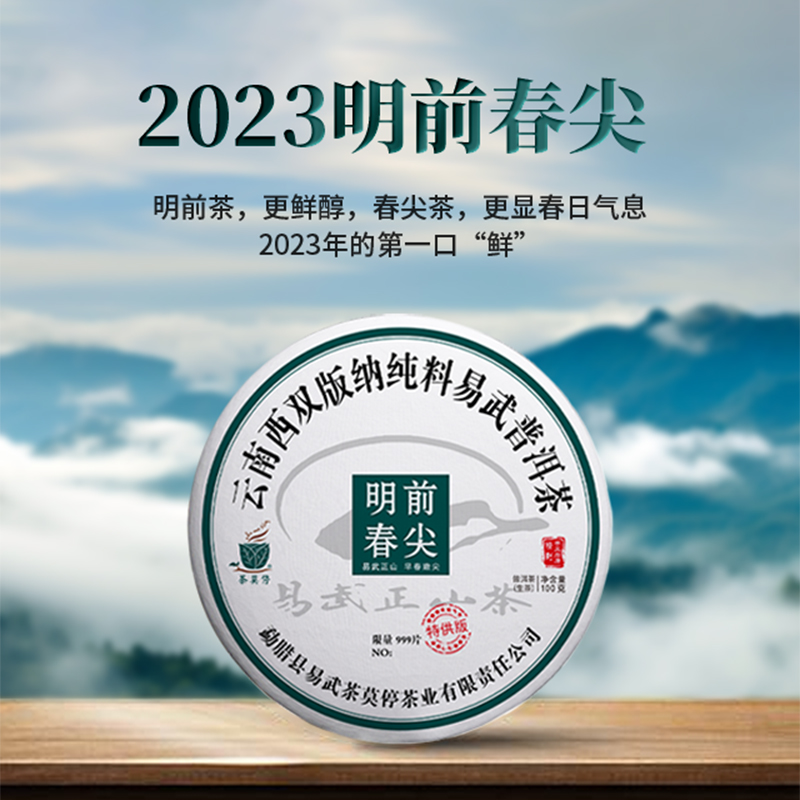 茶莫停 明前春尖 普洱茶生茶100g
