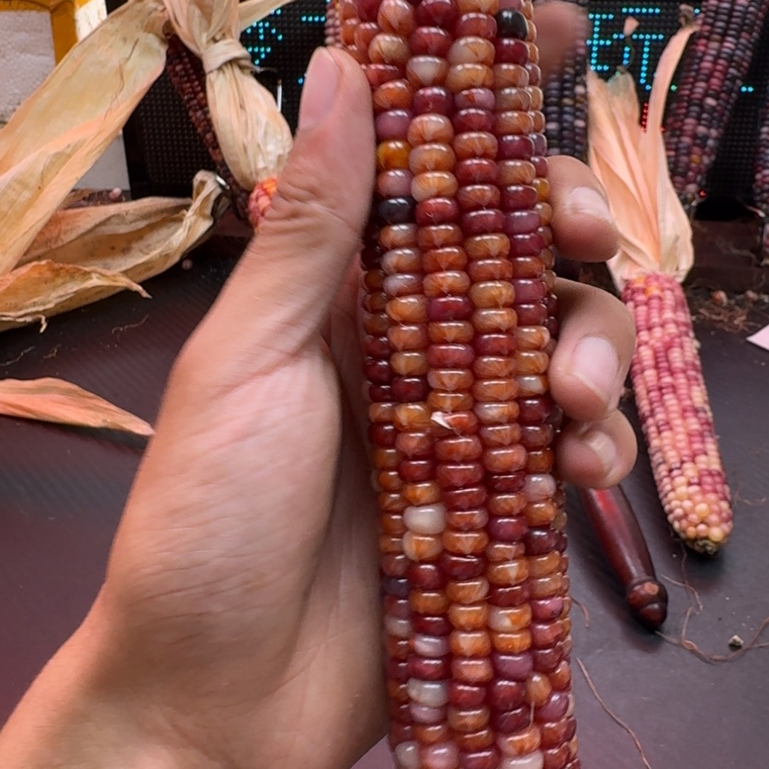 荼***白柏香籽/百香籽吊坠