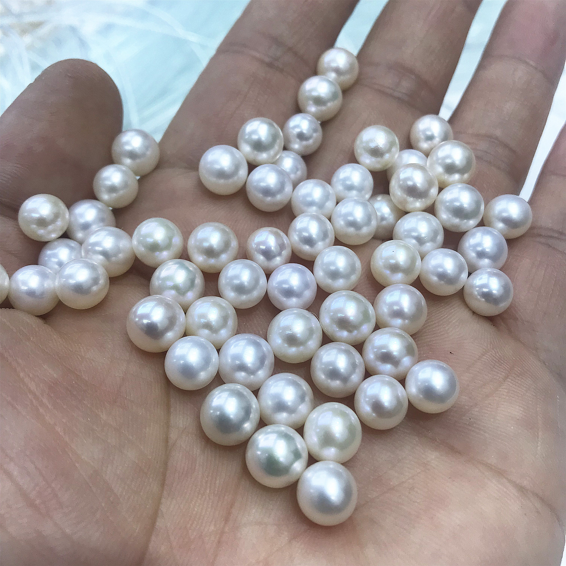 天然珍珠 多样性发其一