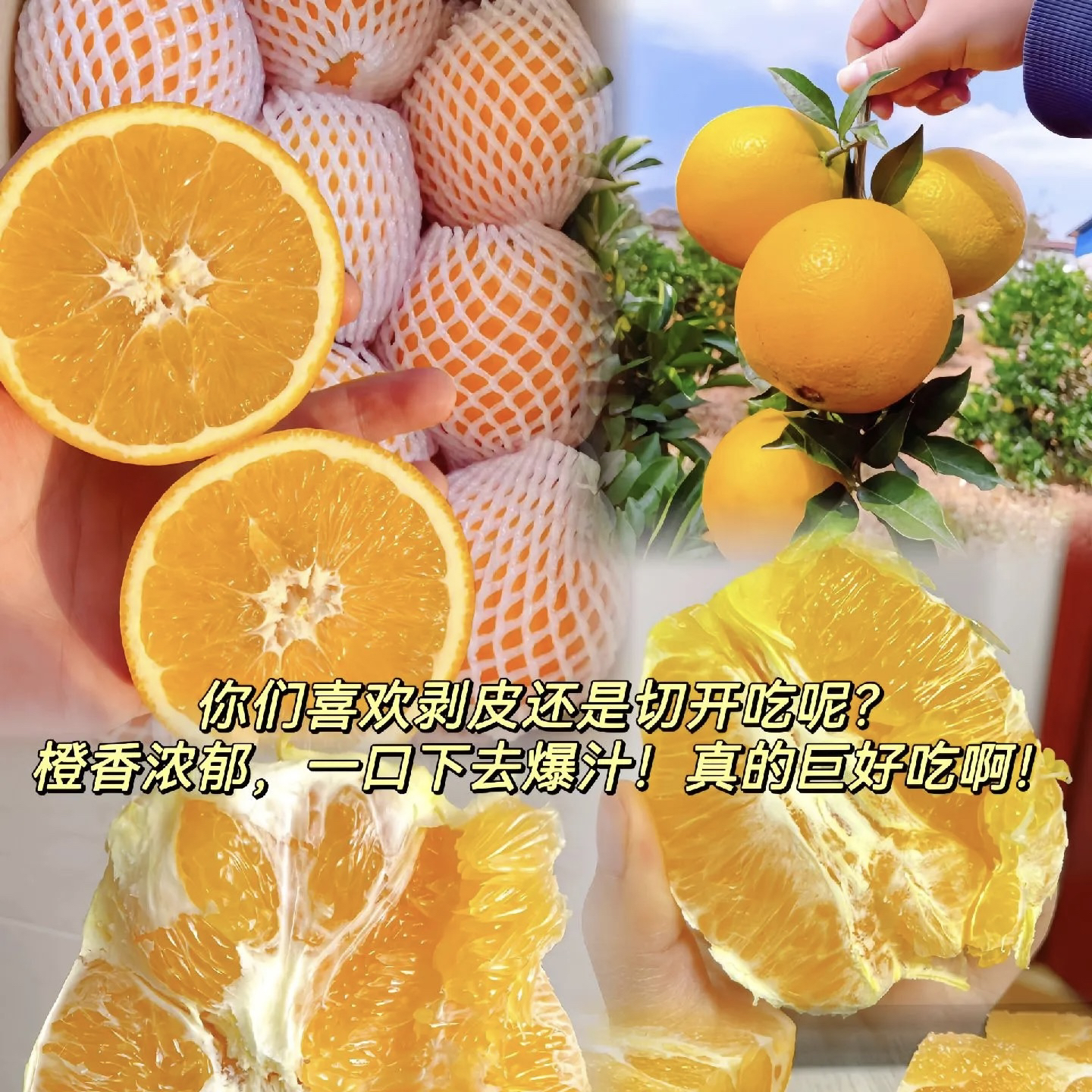 正宗信丰果园直供生态果自然成熟不打蜡自然香甜