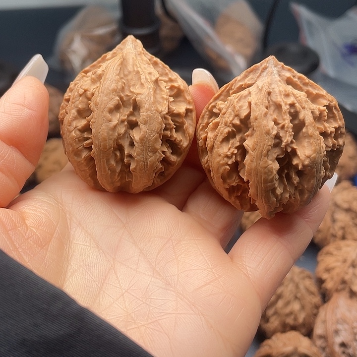 龙脊菩提把件秦岭核桃