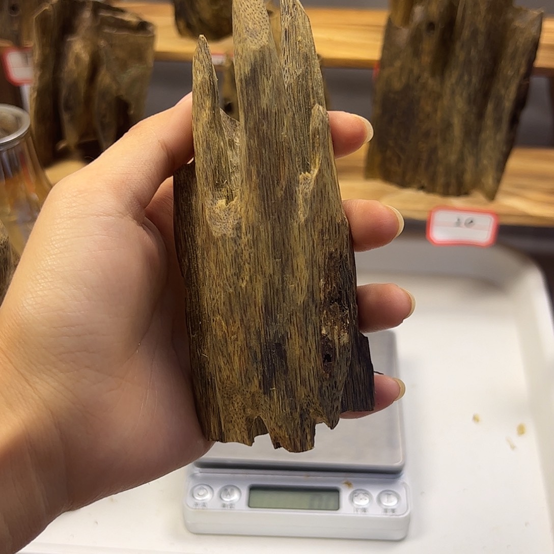 木质乌身 虫漏摆件 40克