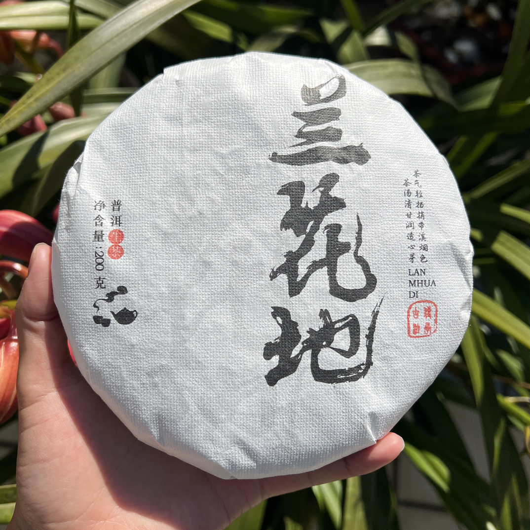 【兰花蜜韵】2023年头春邦东古树普洱生茶 兰花地200克