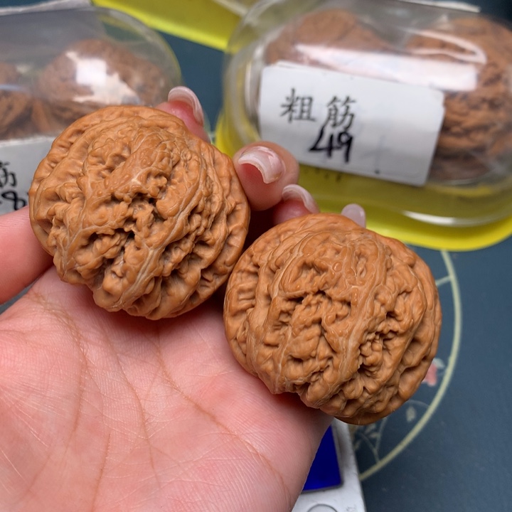 文玩核桃把件44-15005-8