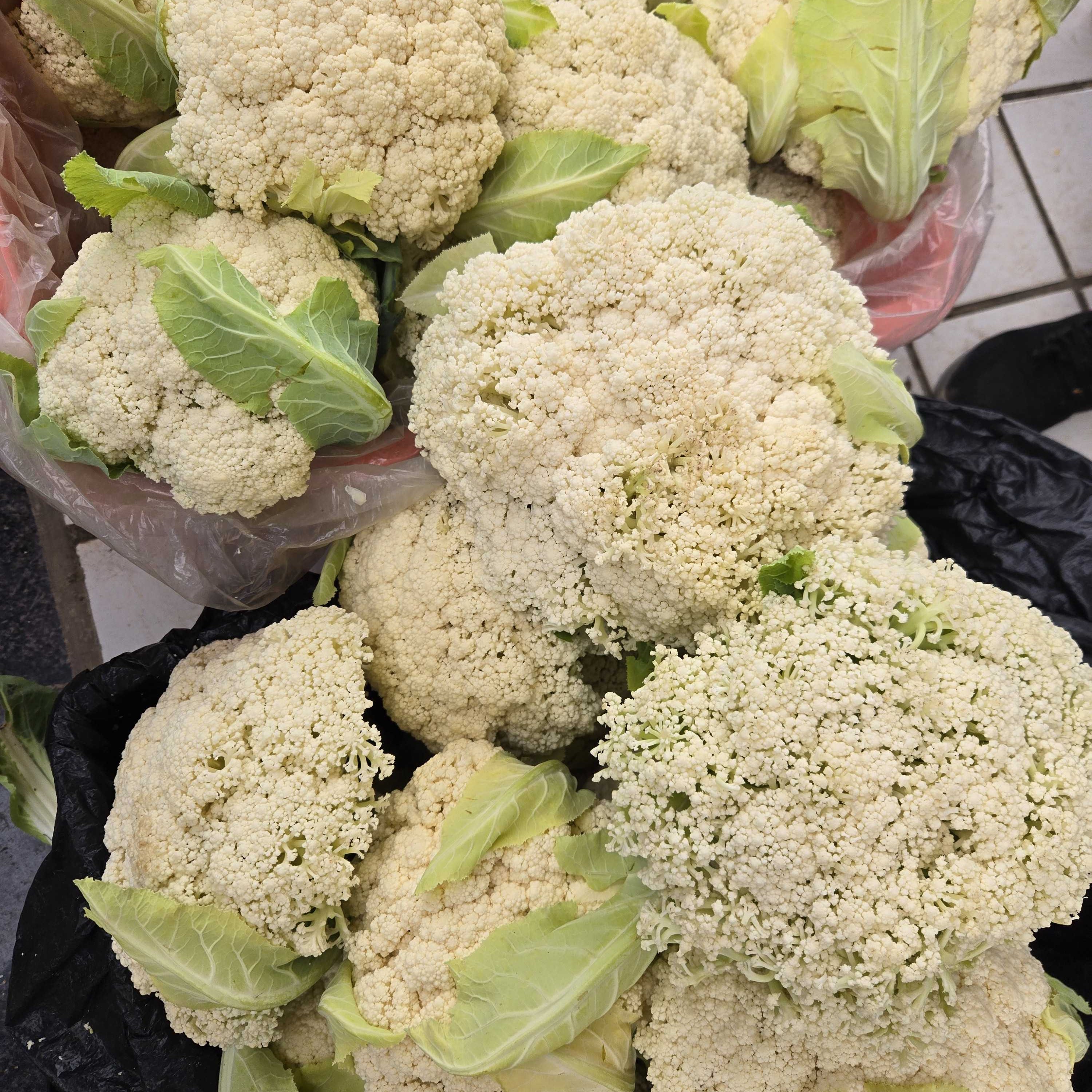【云南白松花】露天种植土特产临时链接1-10000g