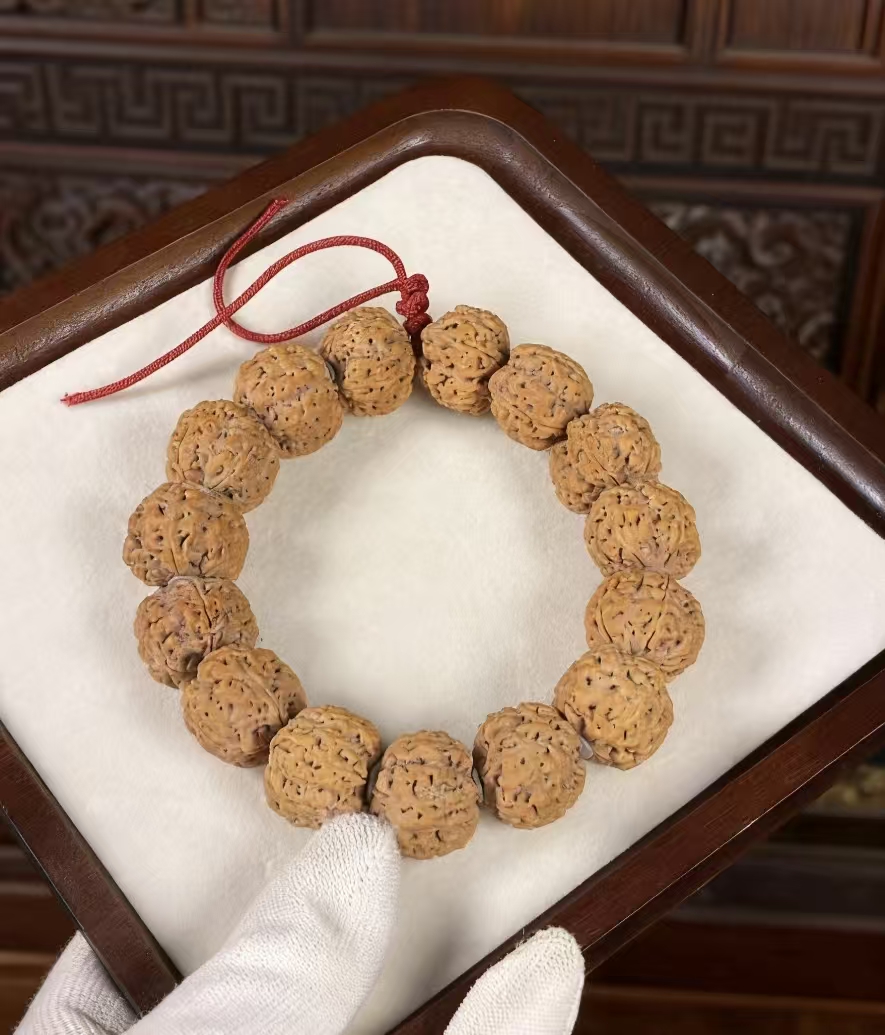 实拍原皮原色爆肉双龙纹梅花桩大金刚
