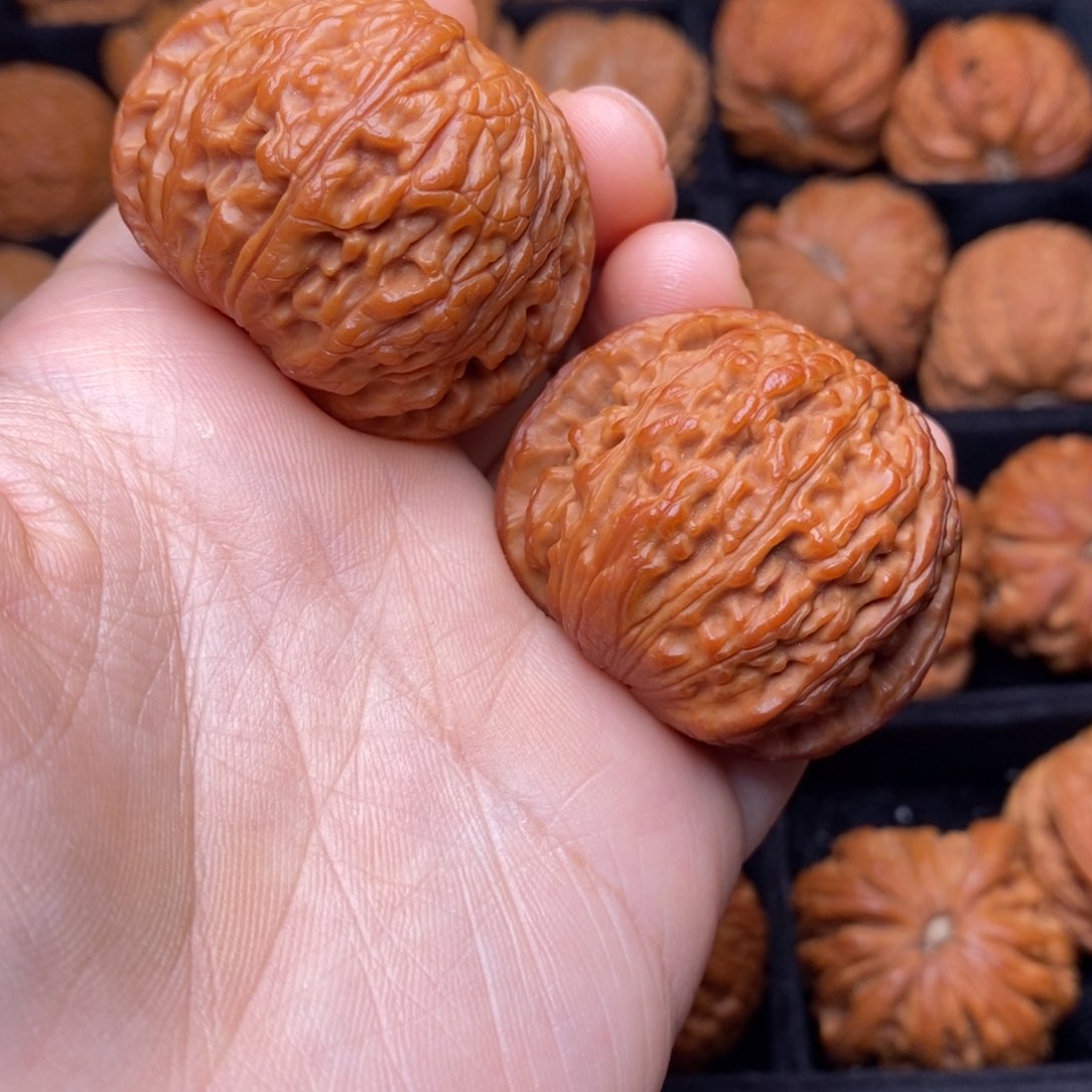 文玩核桃把件秦岭野生核桃