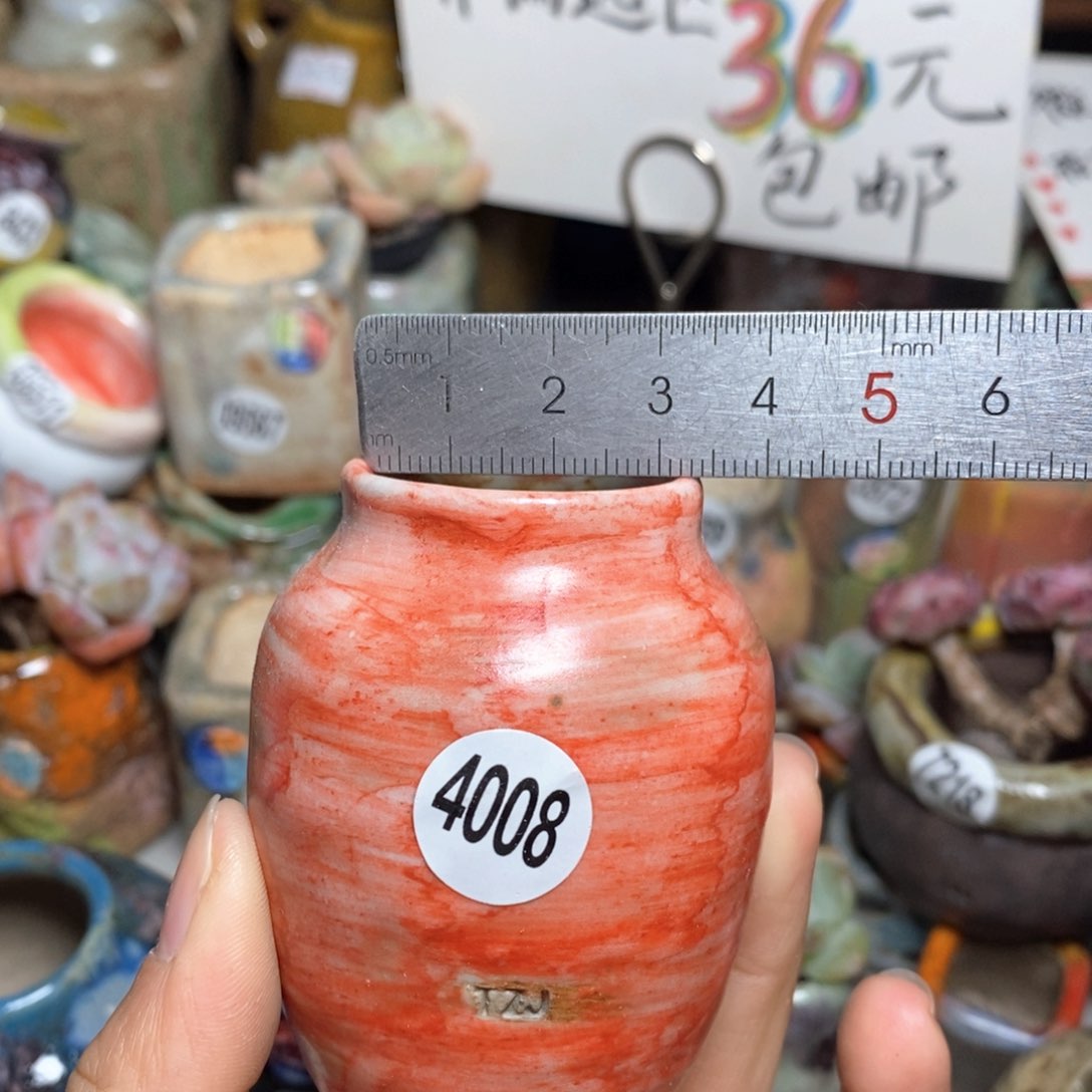 花盆拍5送一个小礼物