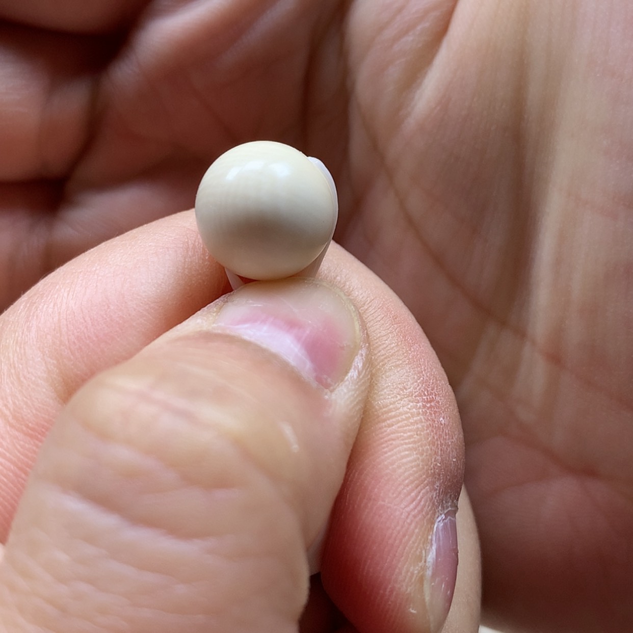 【闪购商品】其他猛犸象牙太***了