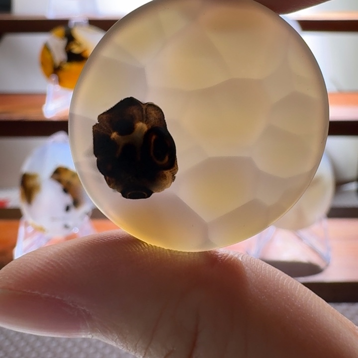 玛瑙/玉髓合金颈饰