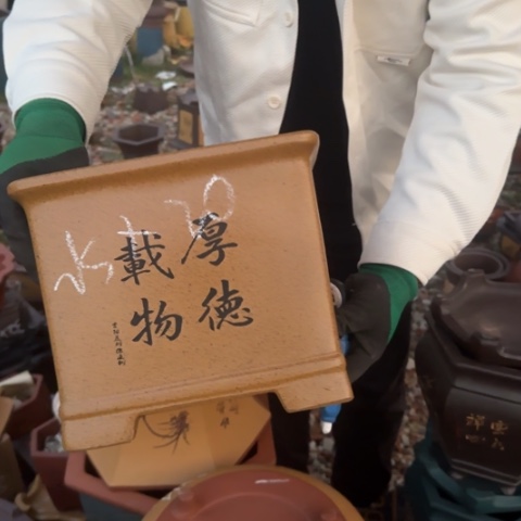 红陶紫砂花盆盆景盆栽
