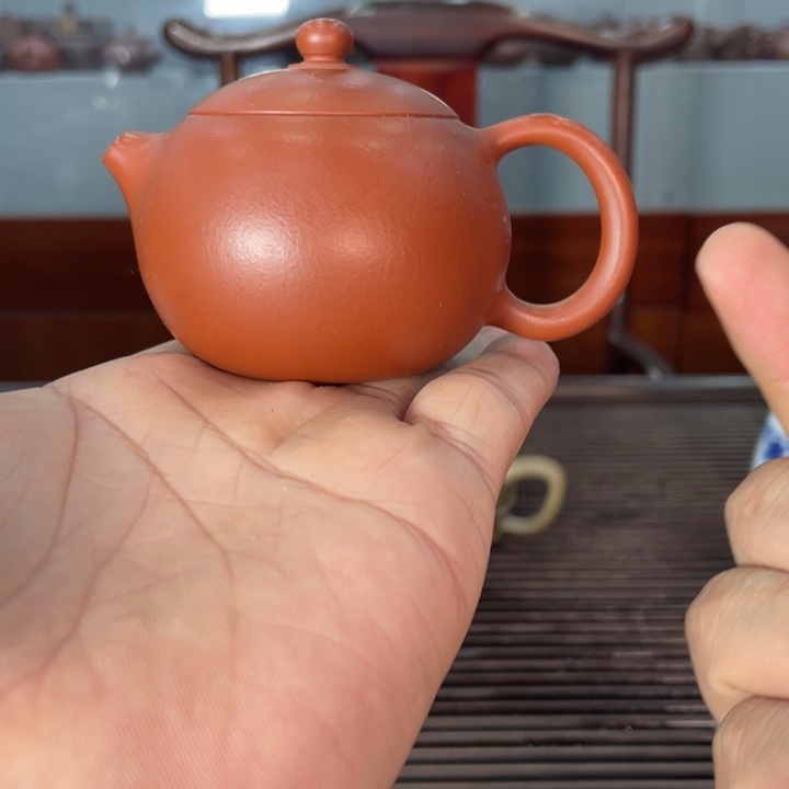 紫砂茶壶哈哈哈哈哈我真的好喜欢这个节目的