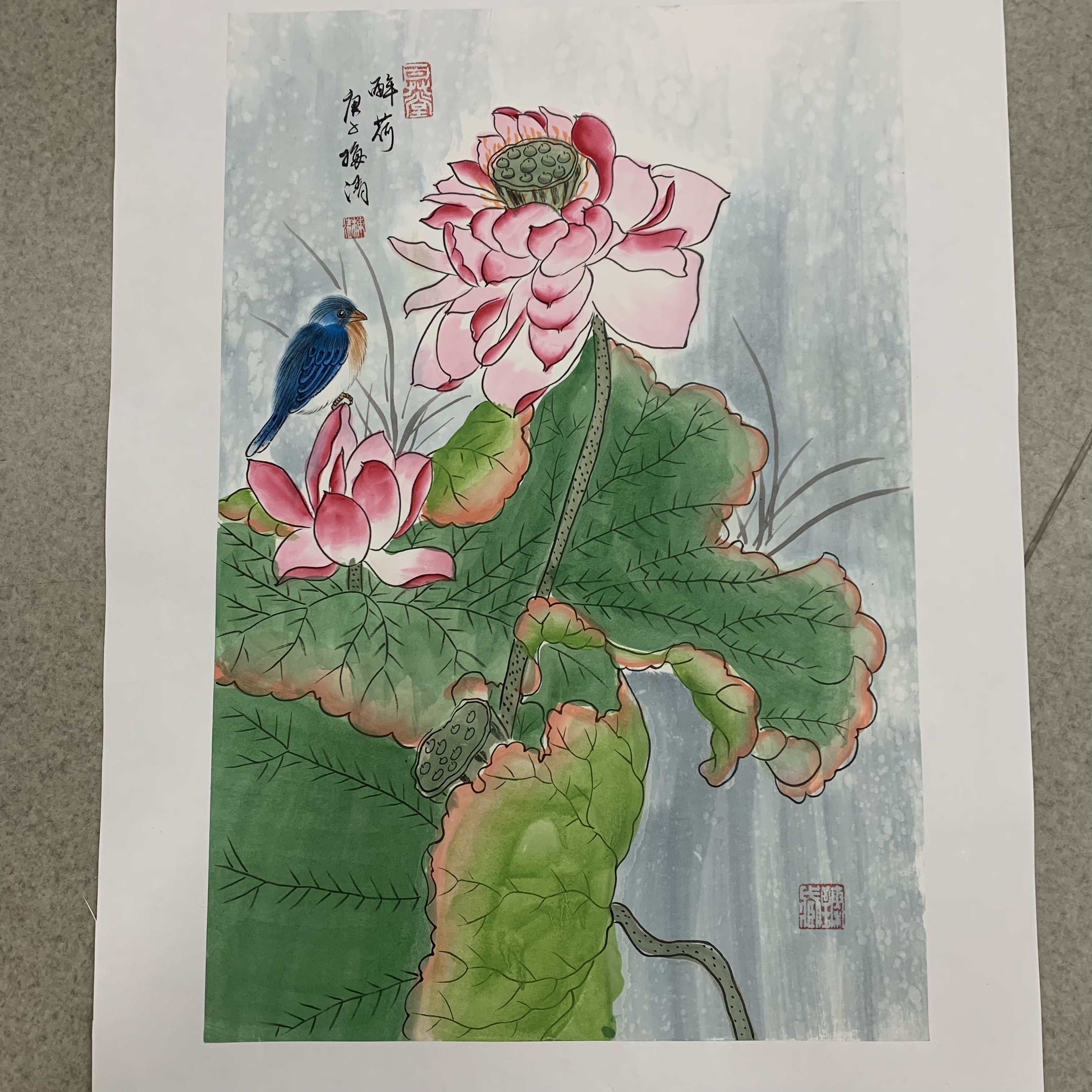 梅清绘画2.7pc花鸟