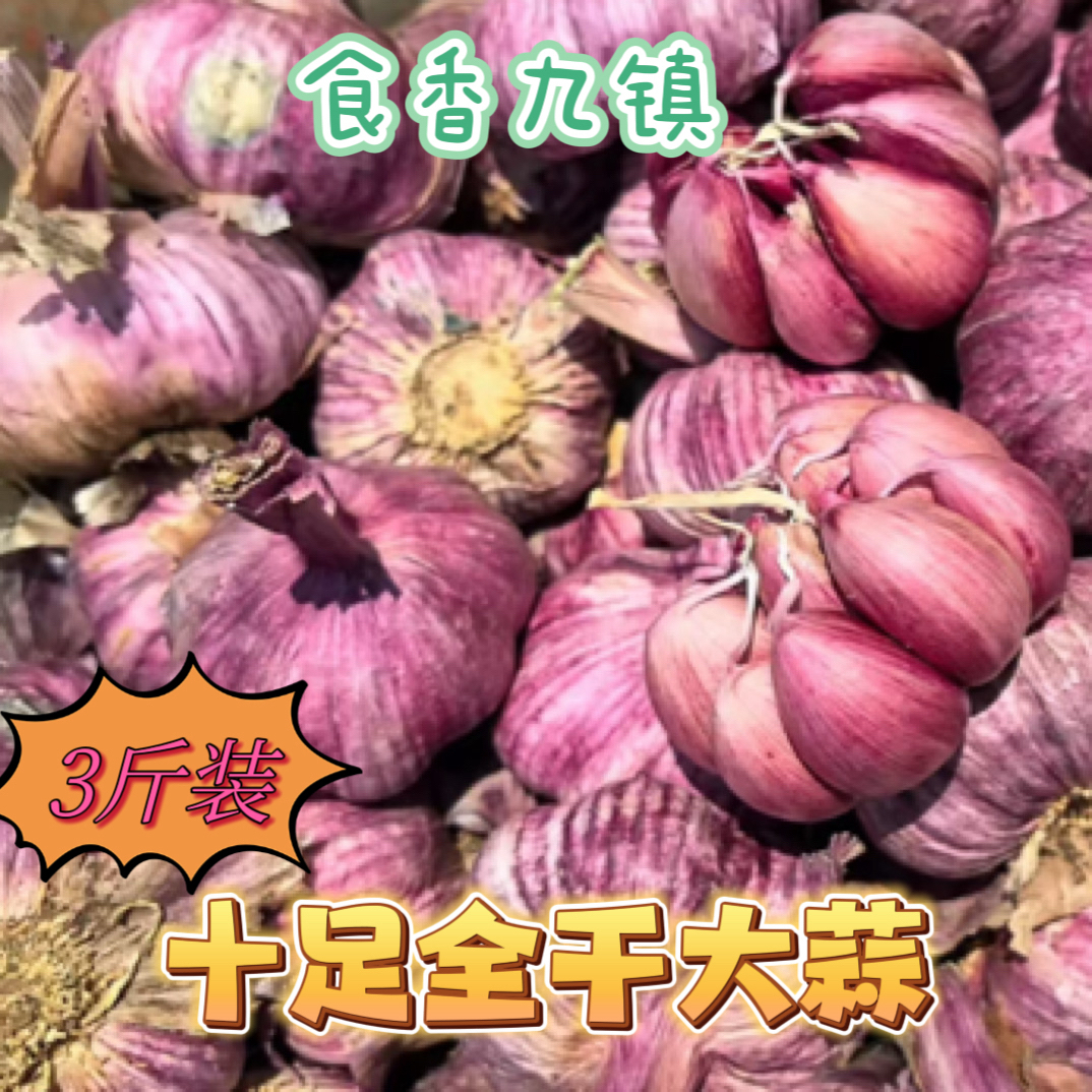 3斤发货云南紫皮干大蒜新多瓣蒜农家香蒜腌糖醋蒜食材非种蒜带衣